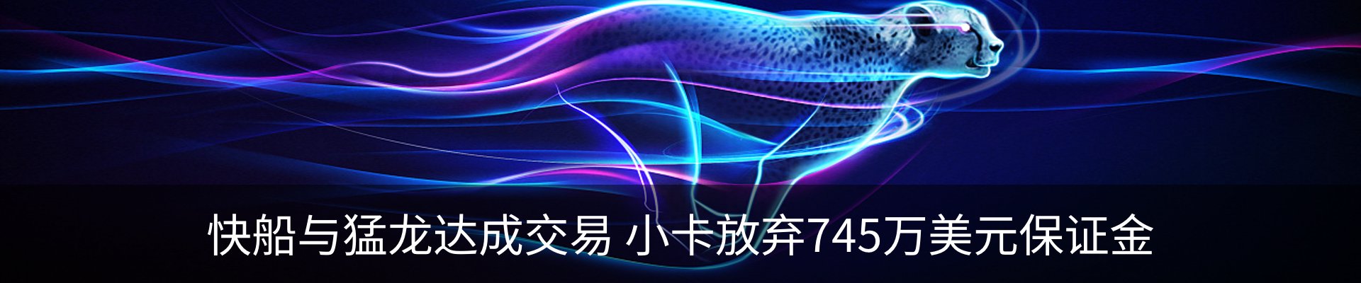 新闻动态